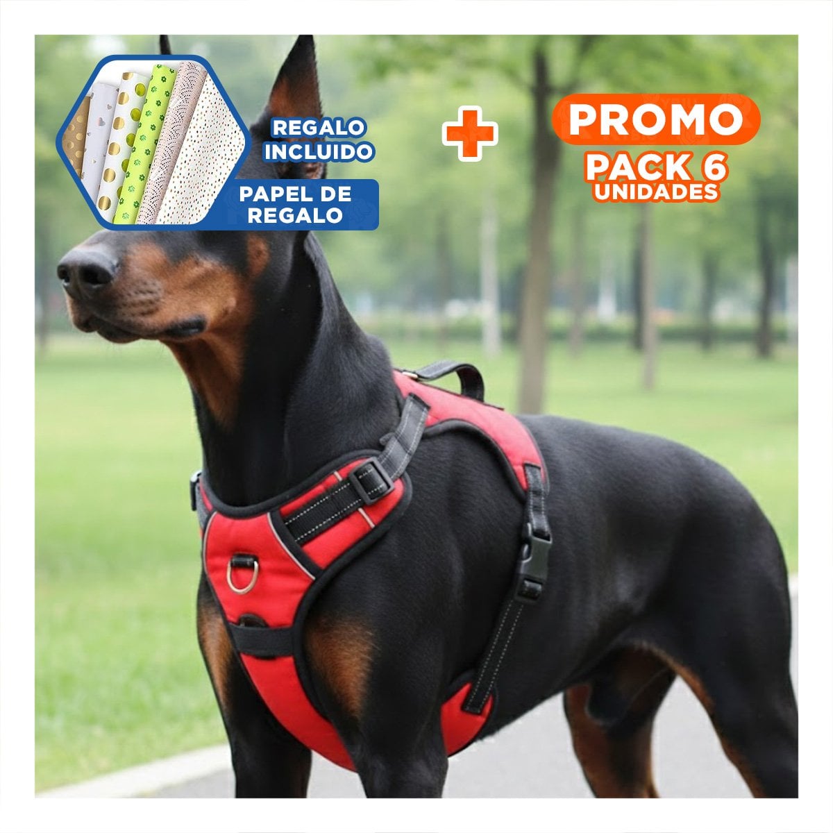 PACK6 EQUIPO DE CONTROL EN H PARA MASCOTA TALLA M FIRME ROJO Y+PAPEL REGALO - 1