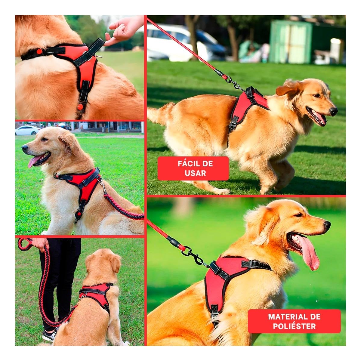 PACK6 EQUIPO DE CONTROL EN H PARA MASCOTA TALLA M FIRME ROJO Y+PAPEL REGALO - 3
