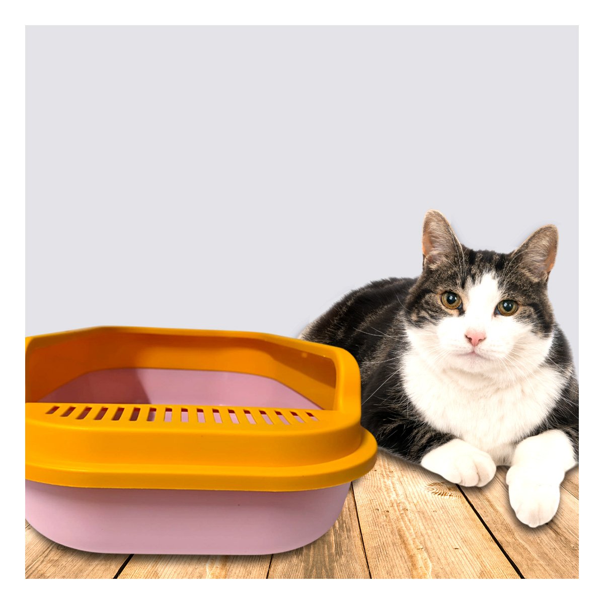 PACK4 CONTENEDOR FUNCIONAL PARA HOGARES CON GATO 51X36,5CM ROSADO Y NARANJA - 5