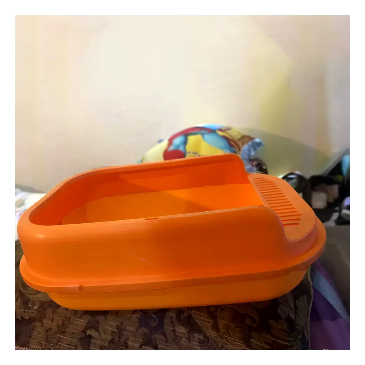 ARENERO PARA GATO DISENO AMPLIO Y COMODO 51X36,5CM NARANJA Y+PAPEL REGALO - 2