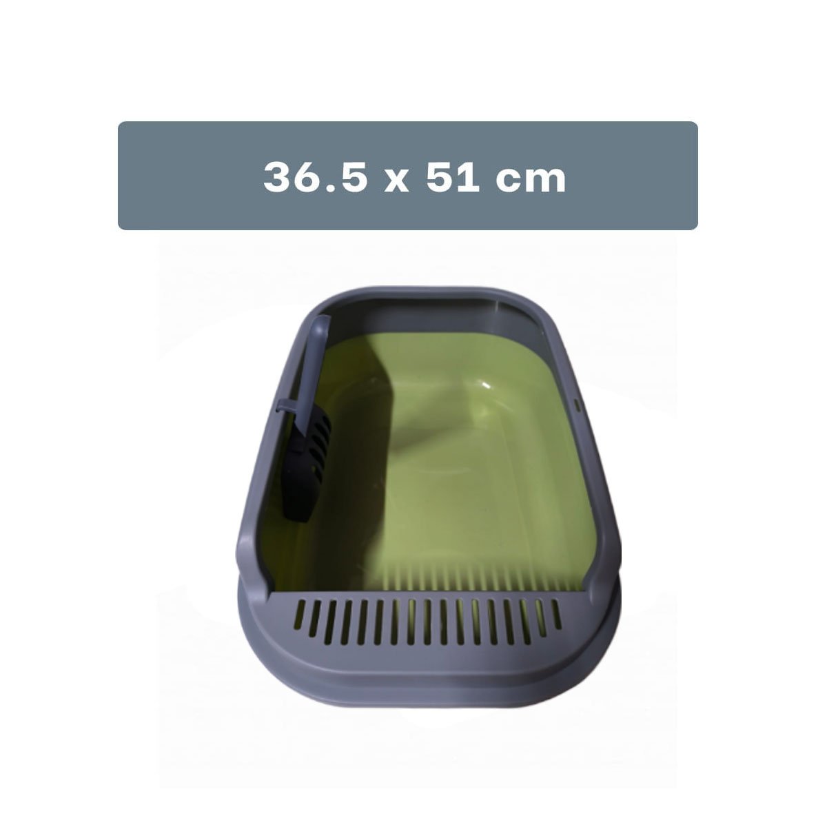 PACK2 CAJON HIGIENICO PARA GATO CON PALA 51X36,5CM VERDE Y PLOMO Y+PAPEL REGALO - 4
