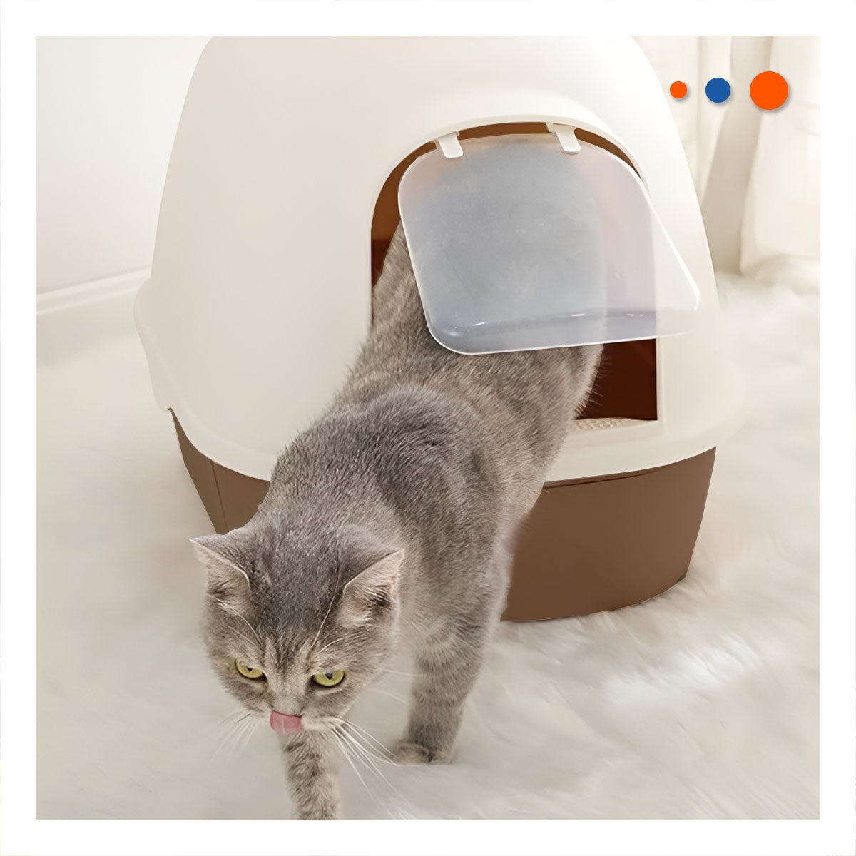 PACK2 CAJON DE ARENA CON CUBIERTA SUPERIOR Y BASE EXTRAIBLE CAFE Y+REGALO STICKER - 3