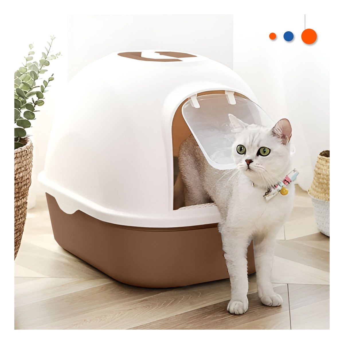 BATEA DE ARENA AMPLIA PARA GATO ADULTO EN HOGAR CAFE Y+POST IT - 2