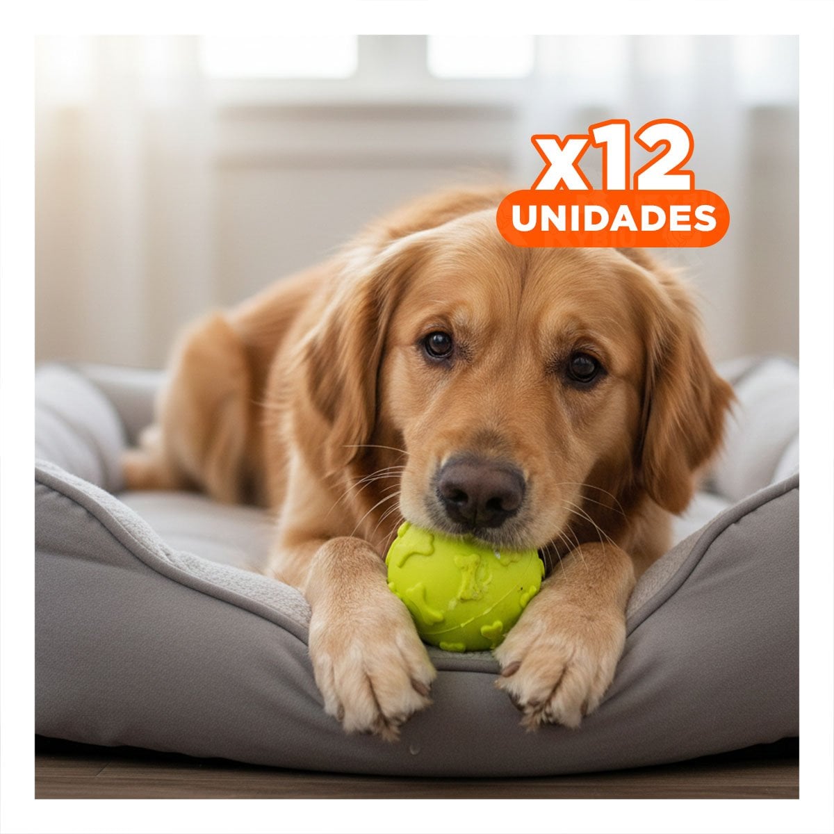 PACK12 PELOTA RECREATIVA PET PARA LANZAR Y TRAER EN CASA VERDE LIMON - 1