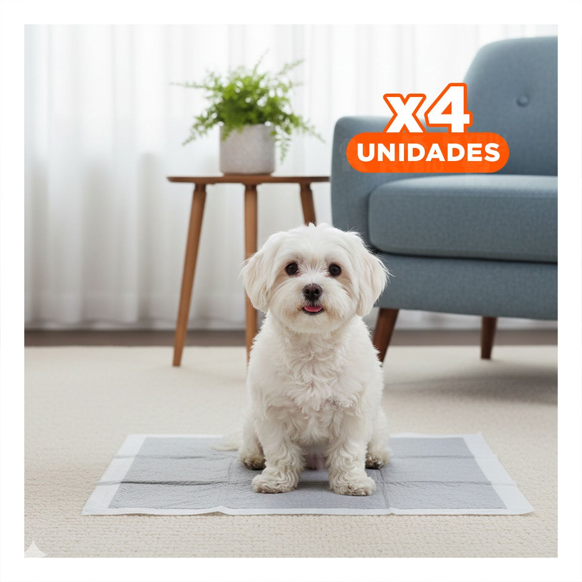 PACK4 BASE PROTECTORA DESECHABLE PARA PERRO 60X60 CM TALLA L 40 NEGRO - 1