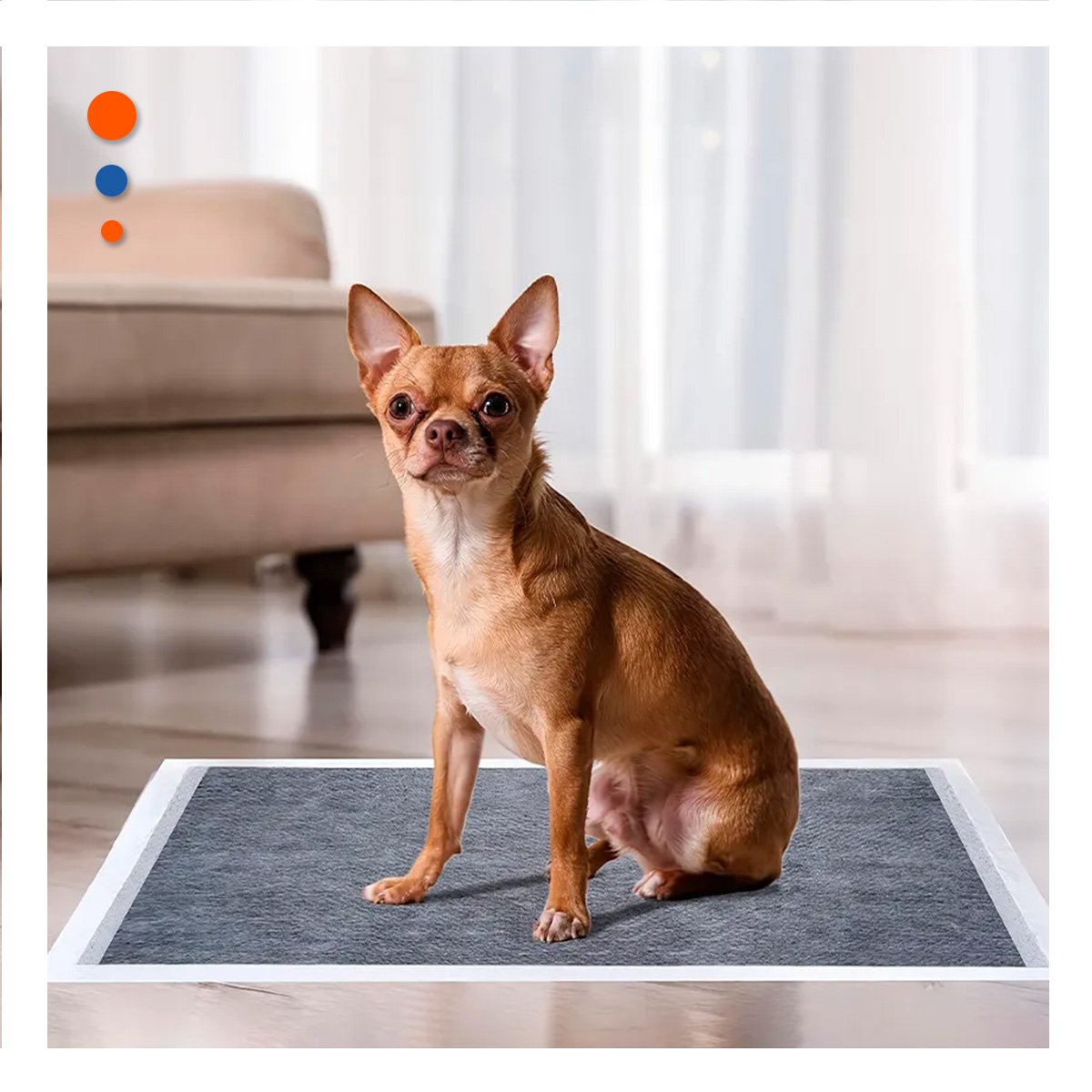 TOALLA ENTRENADORA CANINA 60X60 CM TALLA L PACK 40 NEGRO Y+PAPEL REGALO - 5