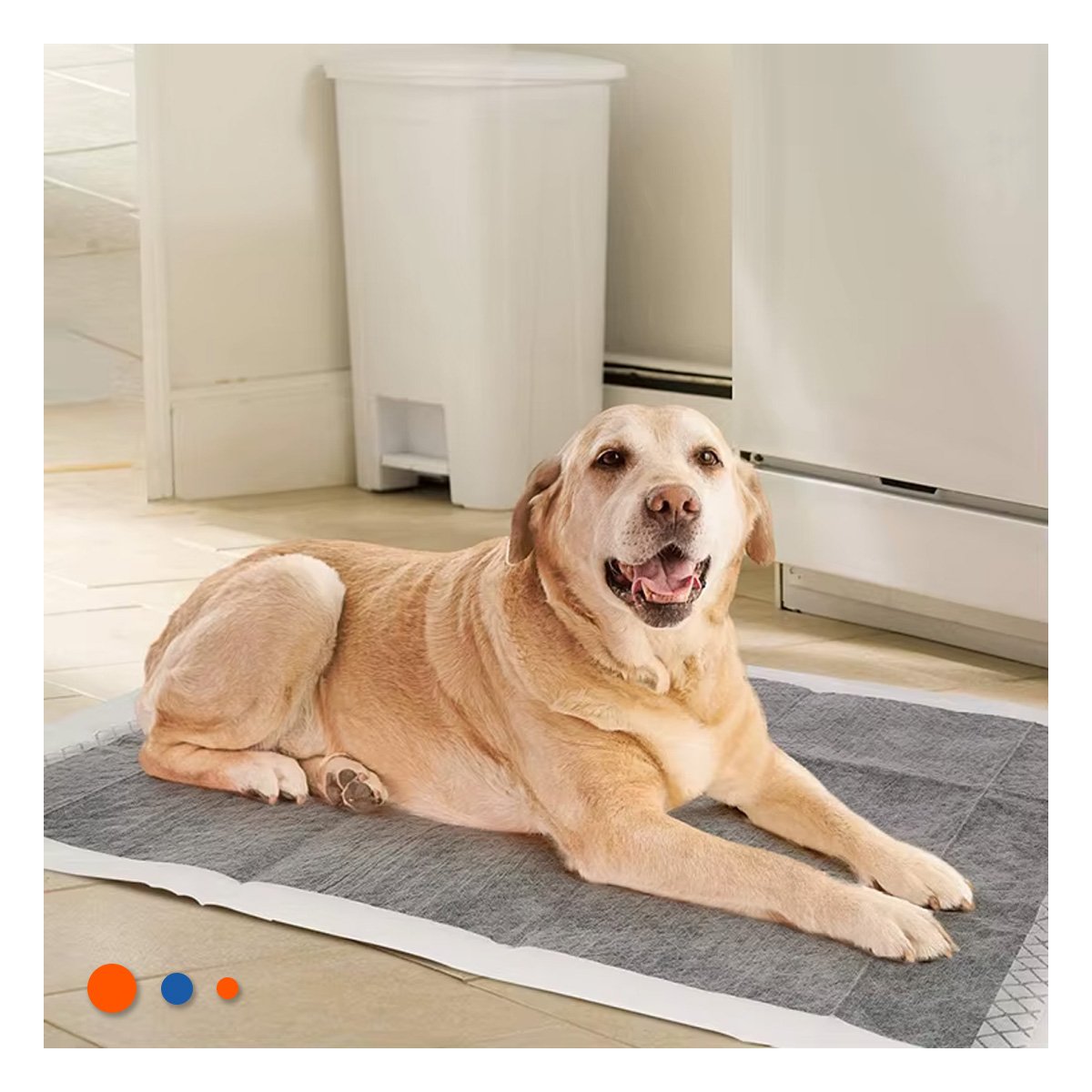 PACK2 BASE ABSORBENTE PARA MASCOTA 60X60 CM TALLA L 40 UNIDADES NEGRO - 3