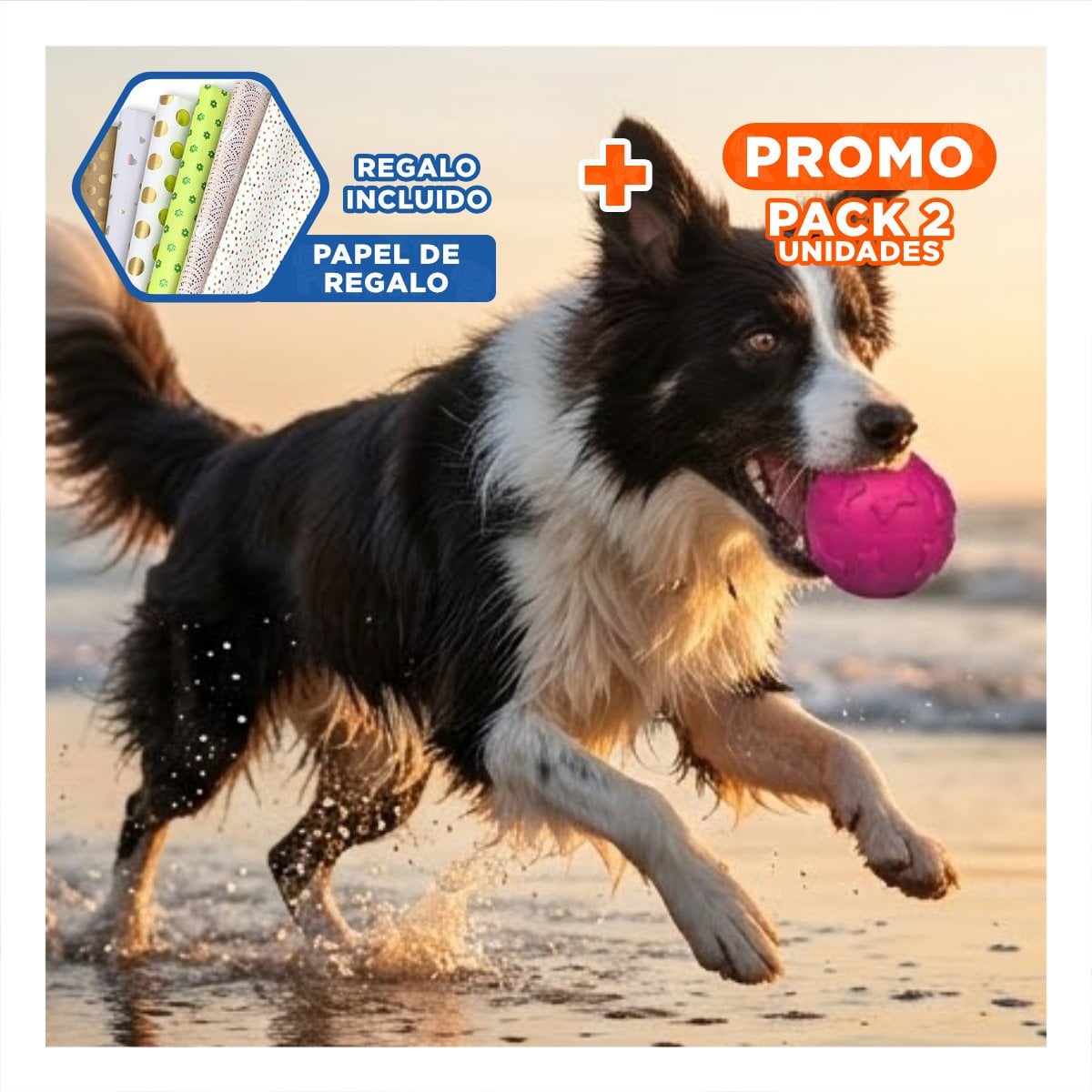 PACK2 JUGUETE CANINO PET PARA ACTIVIDAD FISICA CON HUESITOS FUCSIA Y+PAPEL REGALO - 1