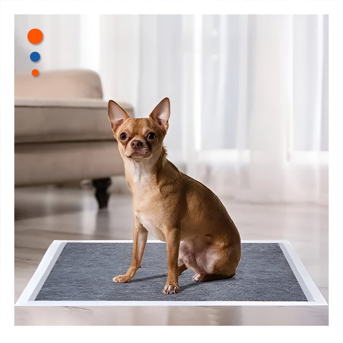 PACK6 CUBIERTA ABSORBENTE PARA MASCOTAS 60X60 CM TALLA L 40 NEGRO - 2