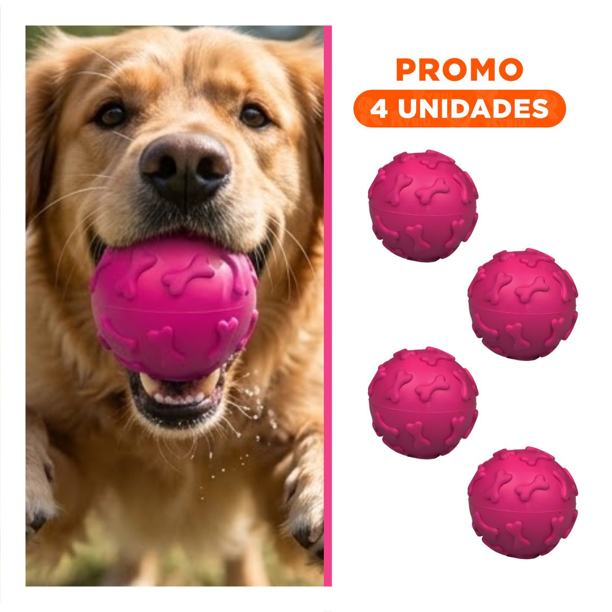 PACK4 ARTICULO DE JUEGO PET CON HUESOS EN SUPERFICIE FUCSIA Y+REGALO STICKER - 1