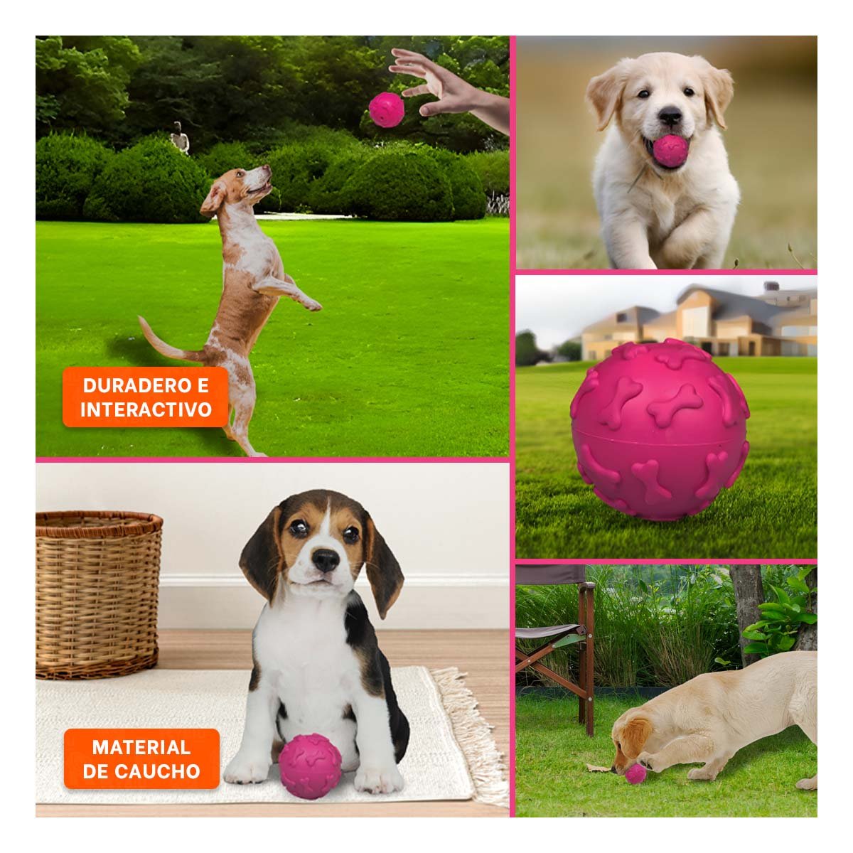 PACK4 ARTICULO DE JUEGO PET CON HUESOS EN SUPERFICIE FUCSIA Y+REGALO STICKER - 2