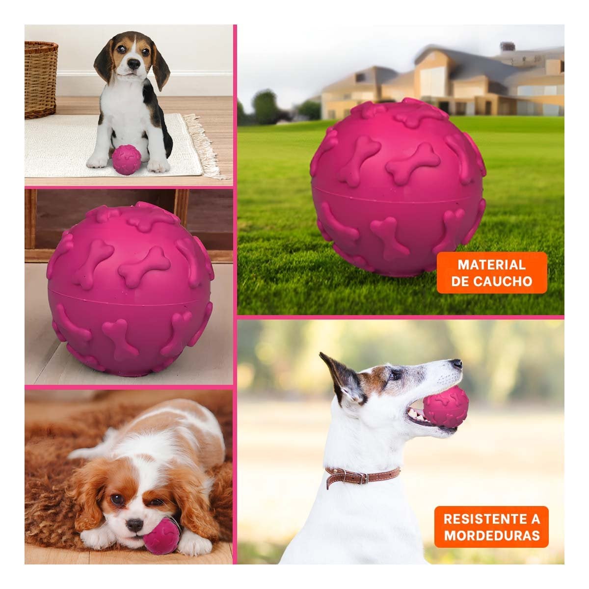 BALON RECREATIVO PET CON FIGURAS DE HUESO EN SUPERFICIE FUCSIA Y+POST IT - 1