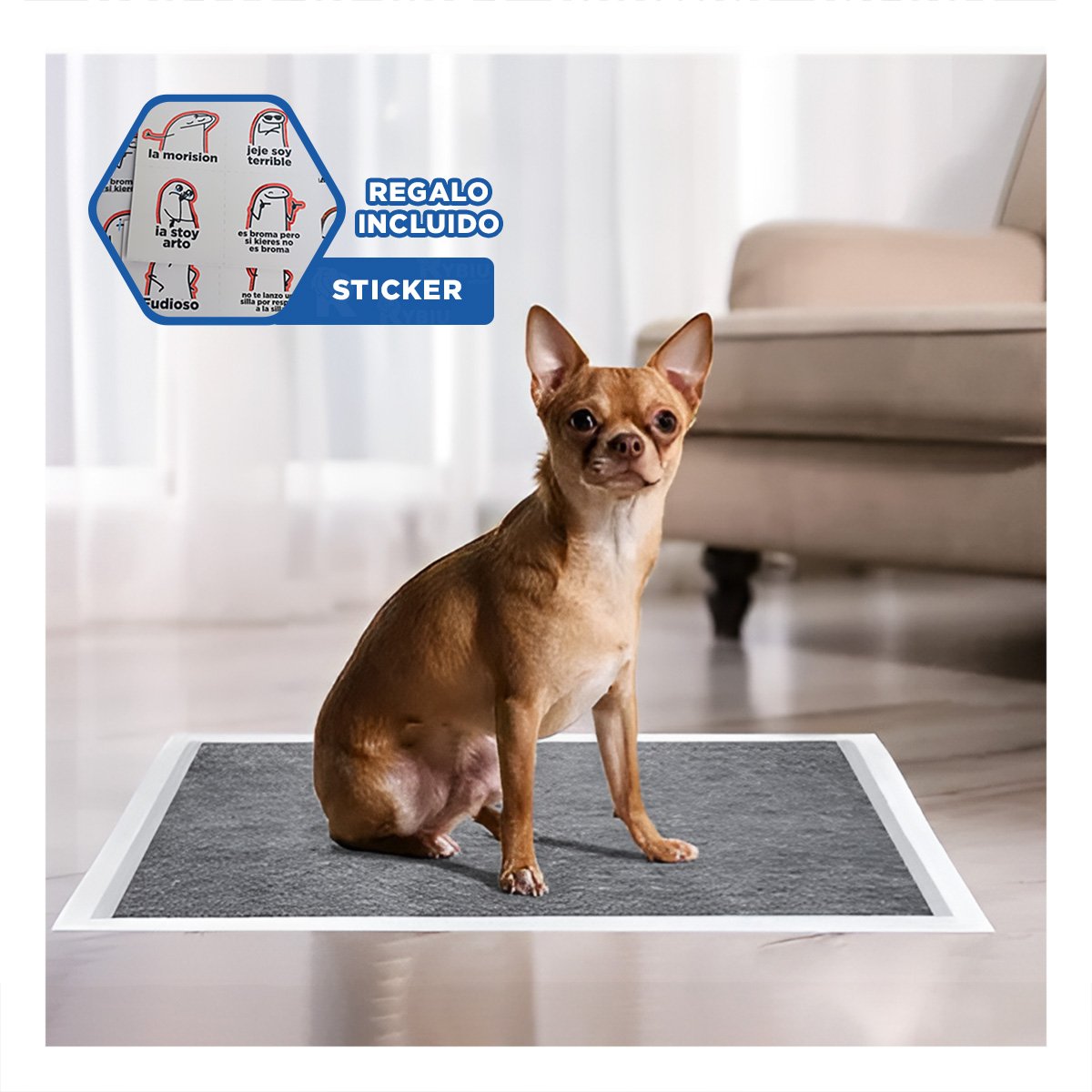 ALFOMBRA PROTECTORA DE PISO CANINO 60X45 CM TALLA M 50 NEGRO Y+REGALO STICKER - 1