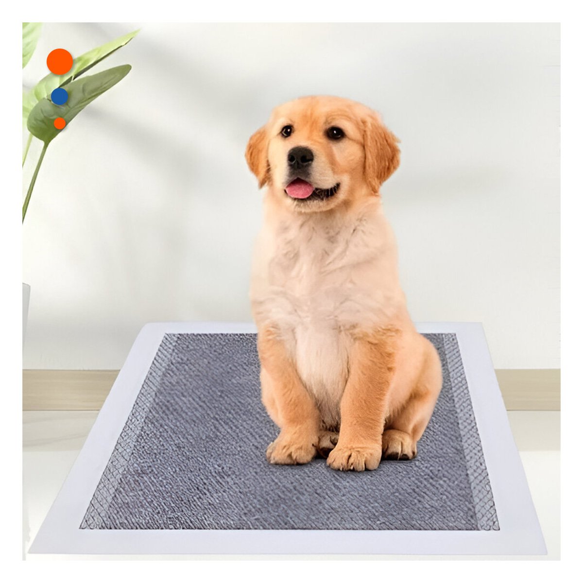 TOALLA HIGIENICA DESECHABLE 60X60 CM TALLA L CAJA 40 NEGRO Y+LIGAS REGALO - 2