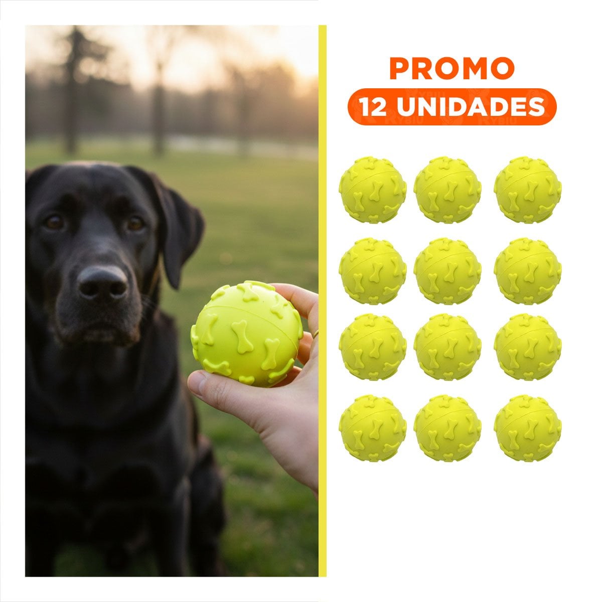 PACK12 PRODUCTO RECREATIVO PET PARA ACTIVIDAD DIARIA DEL PERRO VERDE LIMON Y+REGALO STICKER - 1