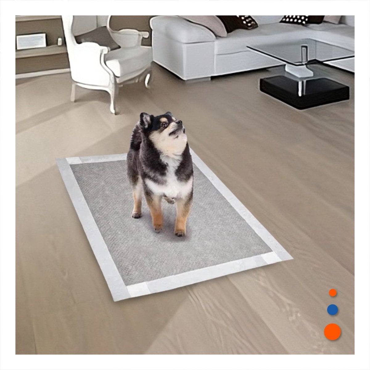 PACK2 BASE HIGIENICA CANINA 60X60 CM TALLA L 40 NEGRO Y+PAPEL REGALO - 5