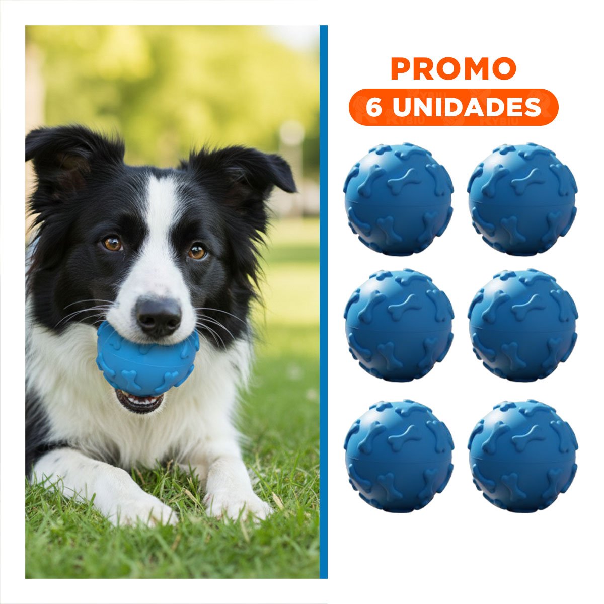 PACK6 ELEMENTO DE JUEGO CON HUESOS PARA PERRO EN MOVIMIENTO PET CELESTE - 1