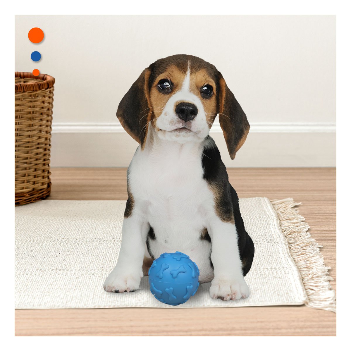PACK6 ELEMENTO DE JUEGO CON HUESOS PARA PERRO EN MOVIMIENTO PET CELESTE - 5