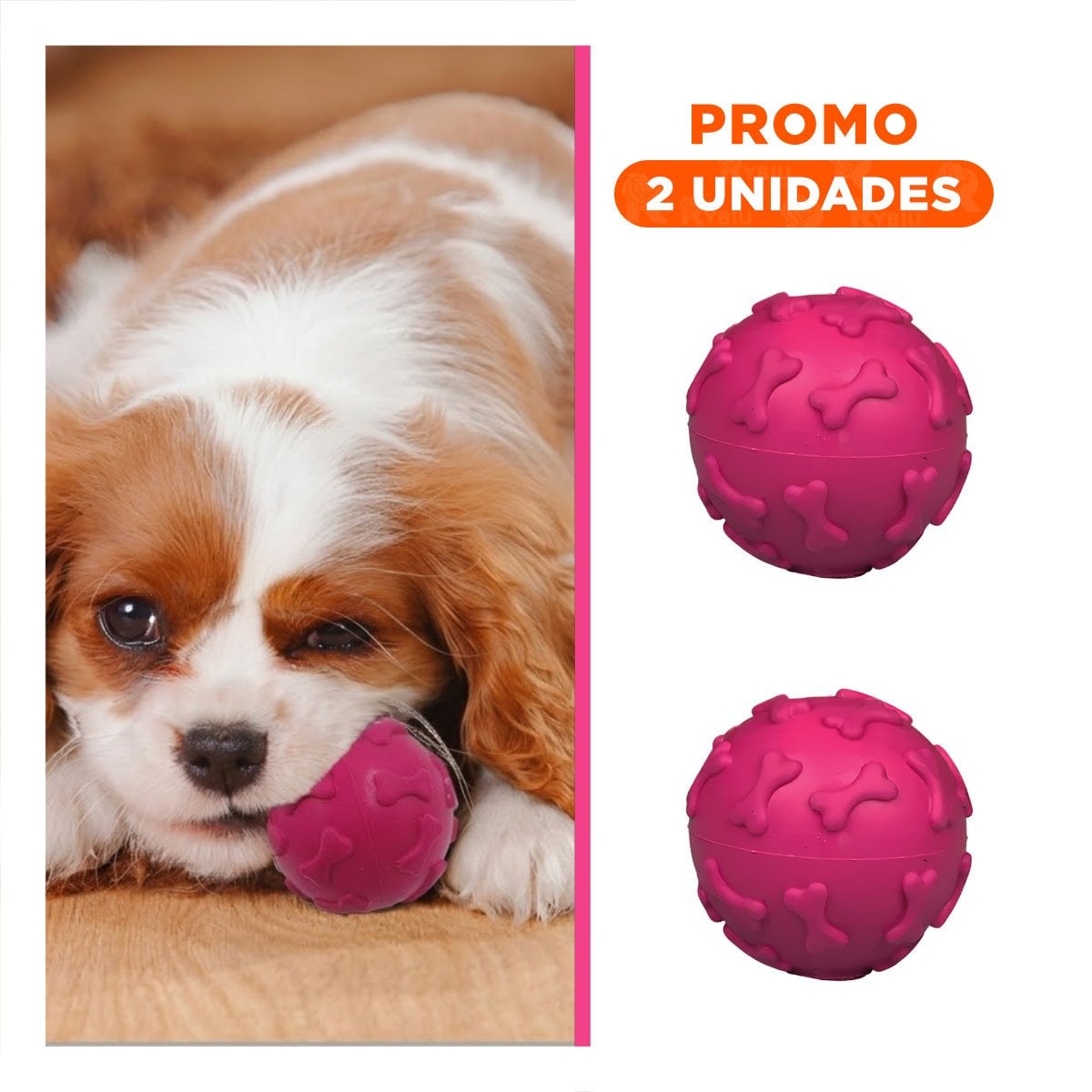 PACK2 JUGUETE ESFERICO PET CON HUESOS MARCADOS PARA PERRO FUCSIA - 1