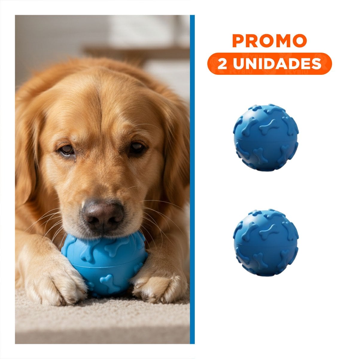 PACK2 MORDEDOR CIRCULAR CON HUESOS PARA PERRO JUGUETON PET CELESTE - 1