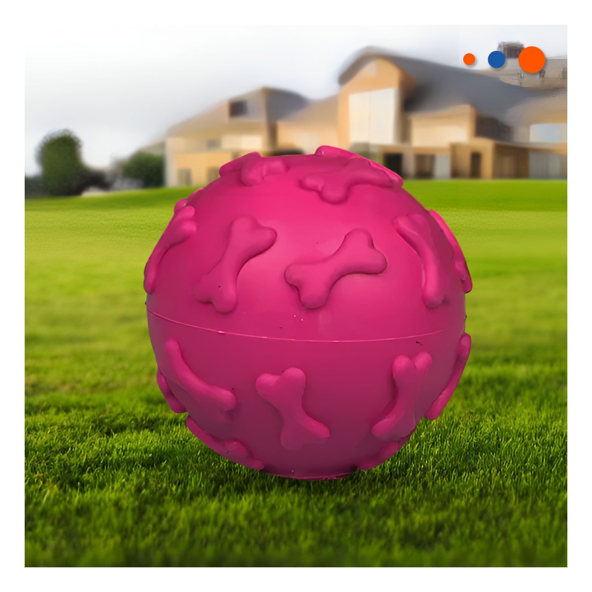 PACK6 ARTICULO CANINO PET PARA ENTRENAMIENTO DIARIO FUCSIA - 3