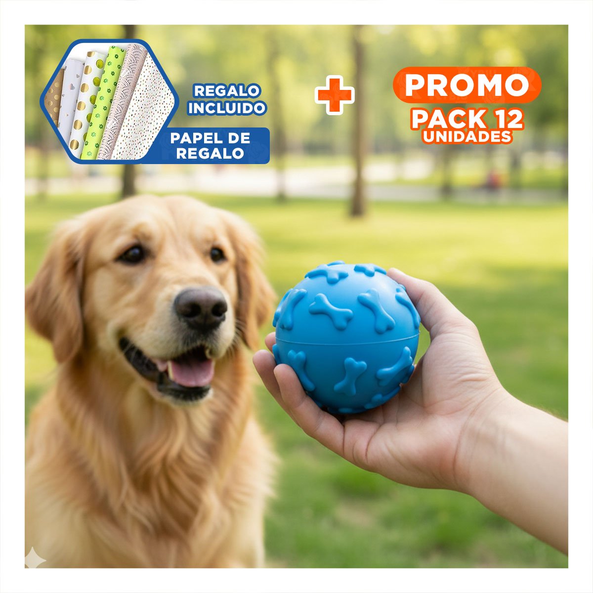 PACK12 PELOTA RESISTENTE PET CON FIGURAS DE HUESO EN SUPERFICIE CELESTE Y+PAPEL REGALO - 1