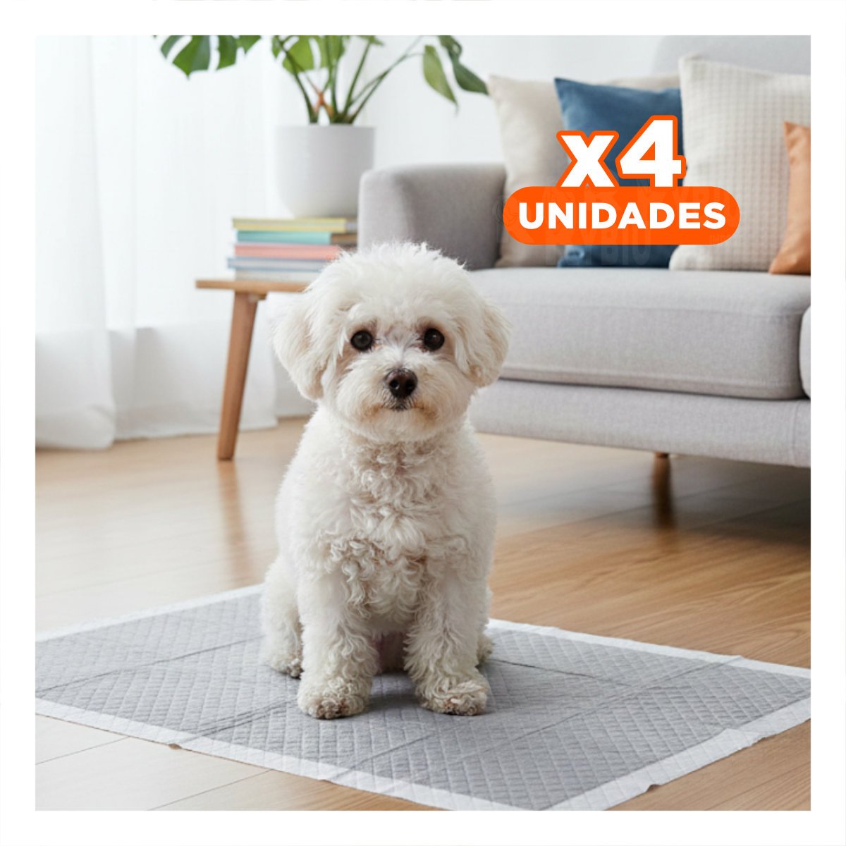 PACK4 PROTECTOR DESECHABLE PARA HOGAR CON MASCOTA 60X45 CM TALLA M 50 NEGRO - 1
