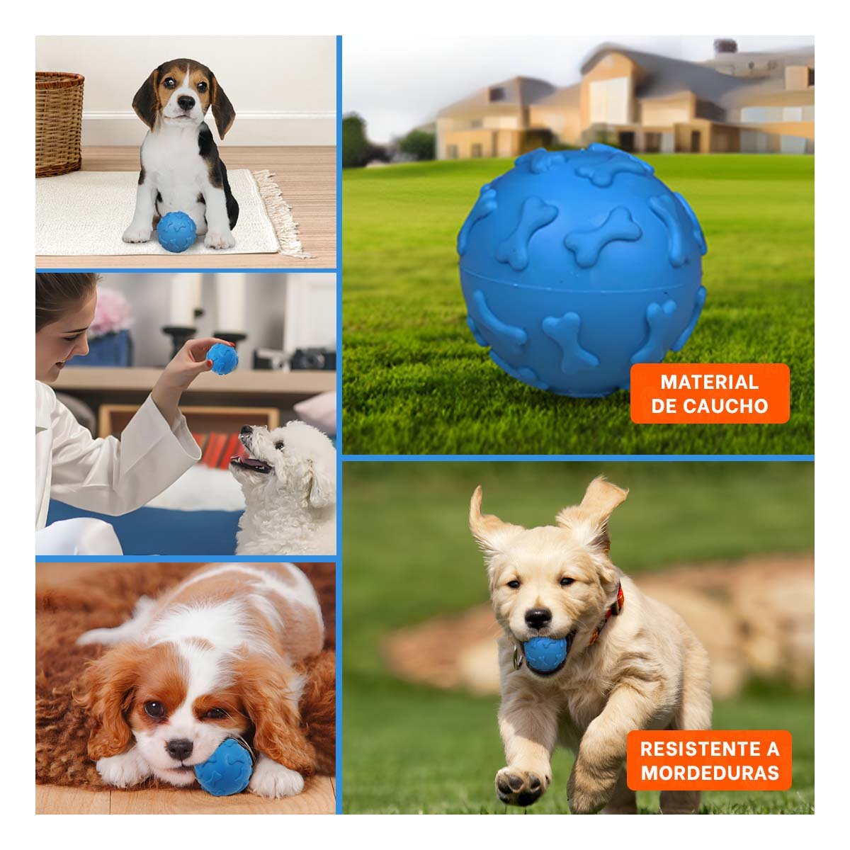 PACK6 ELEMENTO CIRCULAR CON HUESOS PARA MASCOTA ACTIVA PET CELESTE Y+PAPEL REGALO - 3