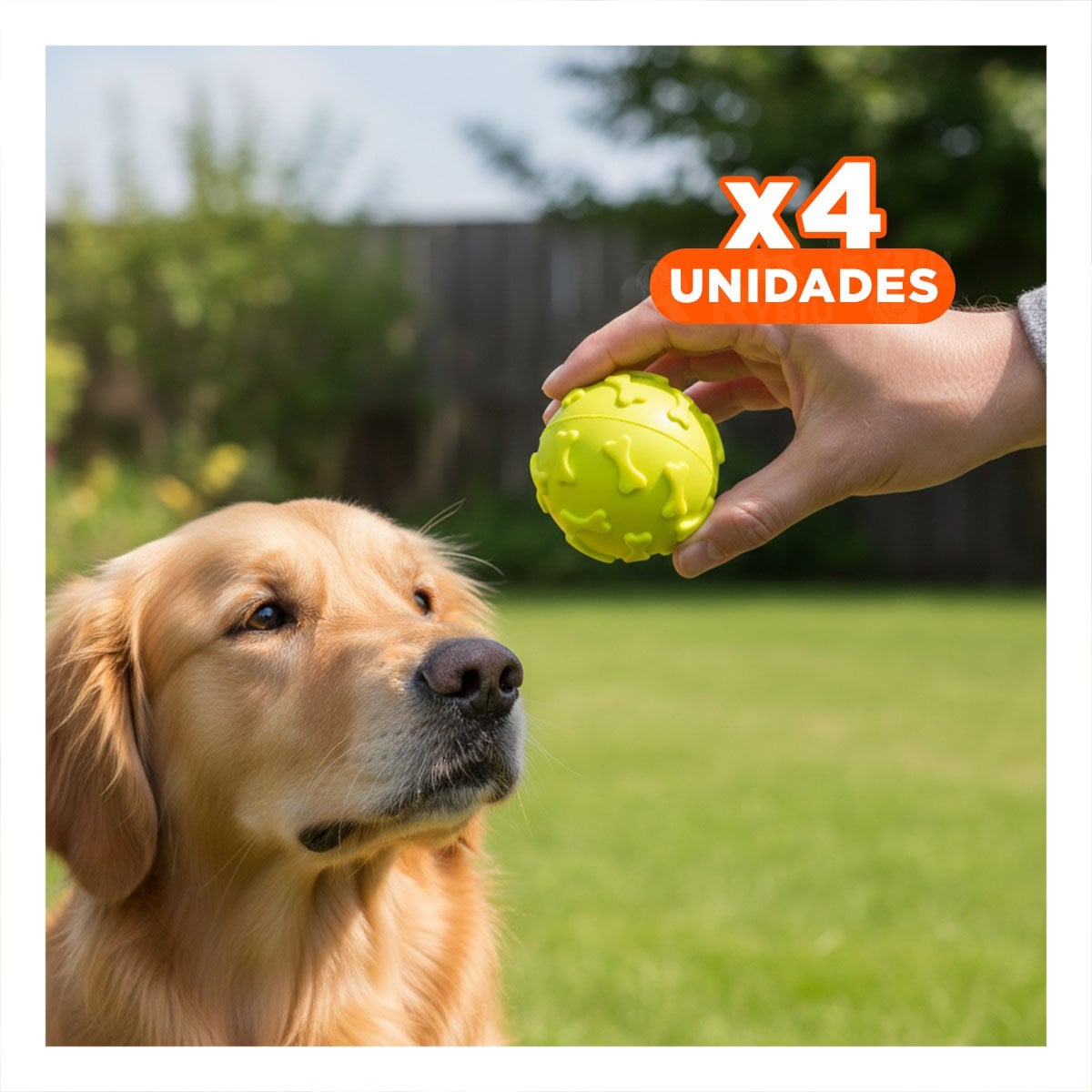 PACK4 ACCESORIO DE ENTRENAMIENTO PARA PERRO CON FIGURAS DE HUESO VERDE LIMON - 1