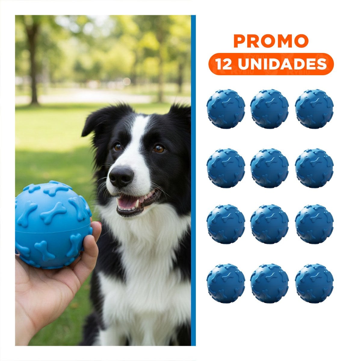 PACK12 PRODUCTO RECREATIVO PET PARA ACTIVIDAD DIARIA DEL PERRO CELESTE Y+REGALO STICKER - 1