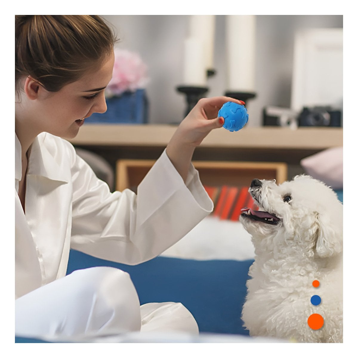 PACK12 PRODUCTO RECREATIVO PET PARA ACTIVIDAD DIARIA DEL PERRO CELESTE Y+REGALO STICKER - 5