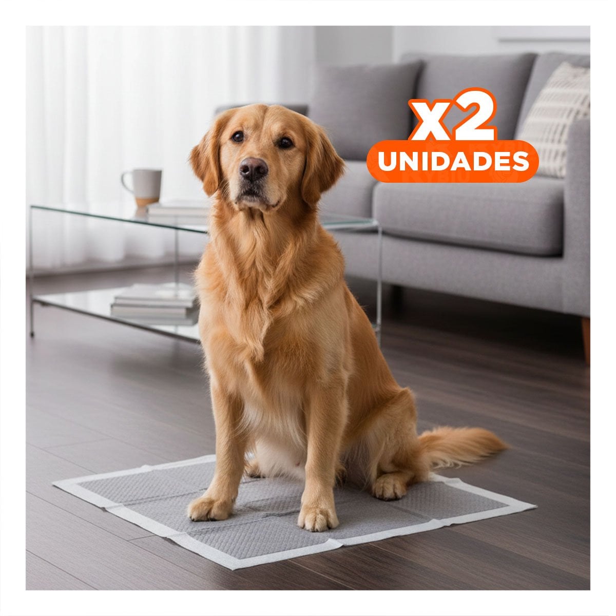 PACK2 BASE ENTRENADORA DE PISO 60X60 CM TALLA L 40 NEGRO Y+REGALO STICKER - 1