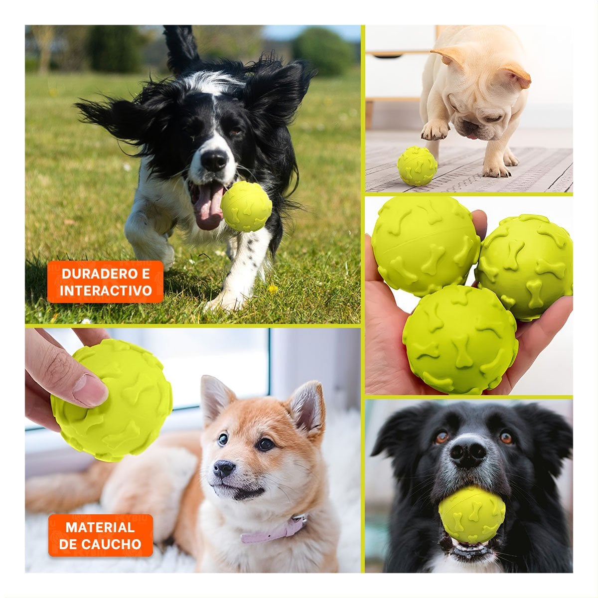 BOLA FLEXIBLE CON FORMAS DE HUESOS PARA JUEGO VERDE LIMON Y+POST IT - 5