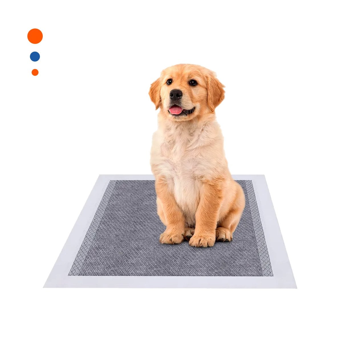 PACK2 BASE ENTRENADORA DE PISO 60X60 CM TALLA L 40 NEGRO Y+REGALO STICKER - 2