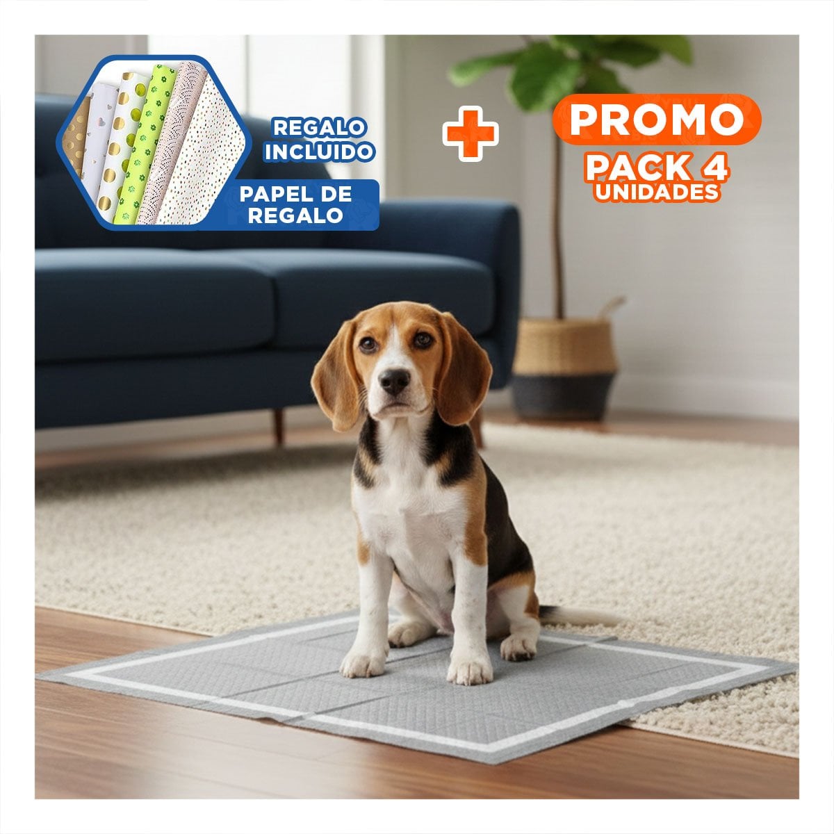 PACK4 BASE SANITARIA DE USO DIARIO 60X60 CM TALLA L 40 NEGRO Y+PAPEL REGALO - 1