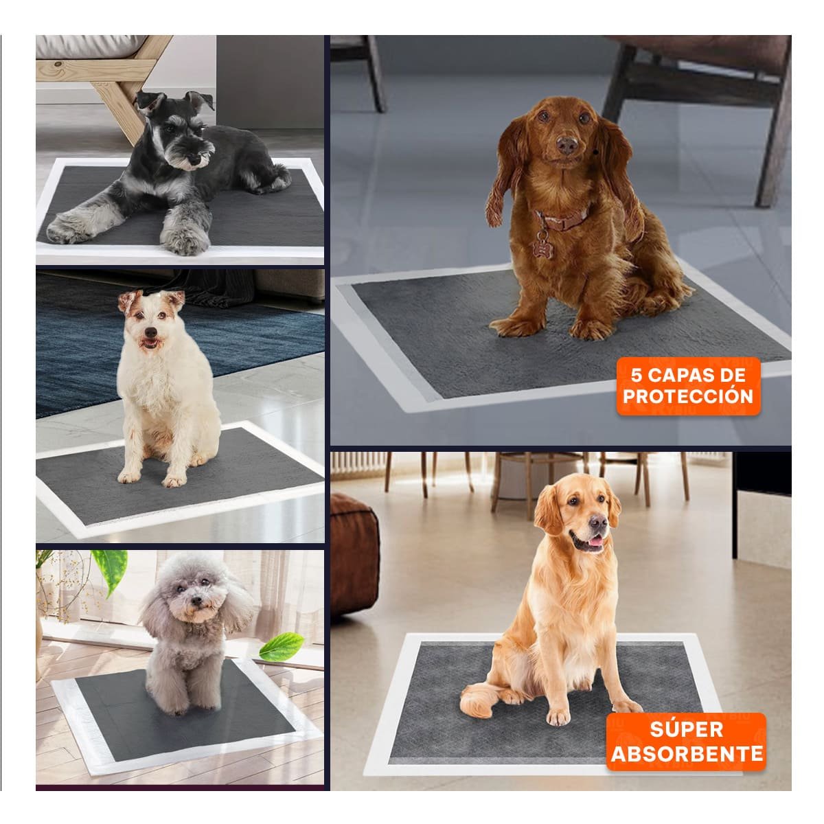 PACK6 CUBIERTA HIGIENICA DE ENTRENAMIENTO CANINO 60X60 CM TALLA L 40 NEGRO Y+PAPEL REGALO - 3