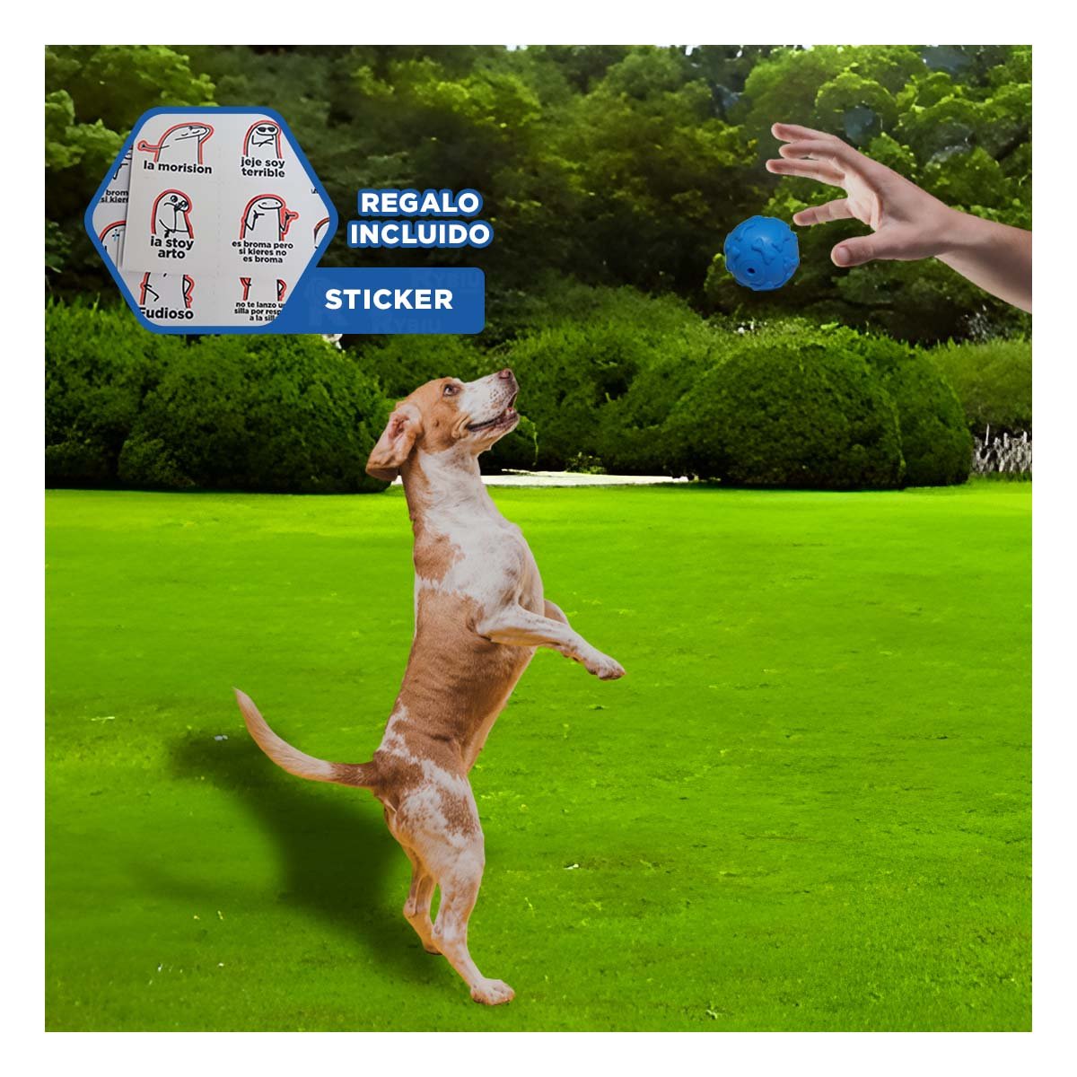 BALON DE GOMA CON HUESOS MARCADOS PARA MASCOTA ENERGETICA PET CELESTE Y+REGALO STICKER - 1
