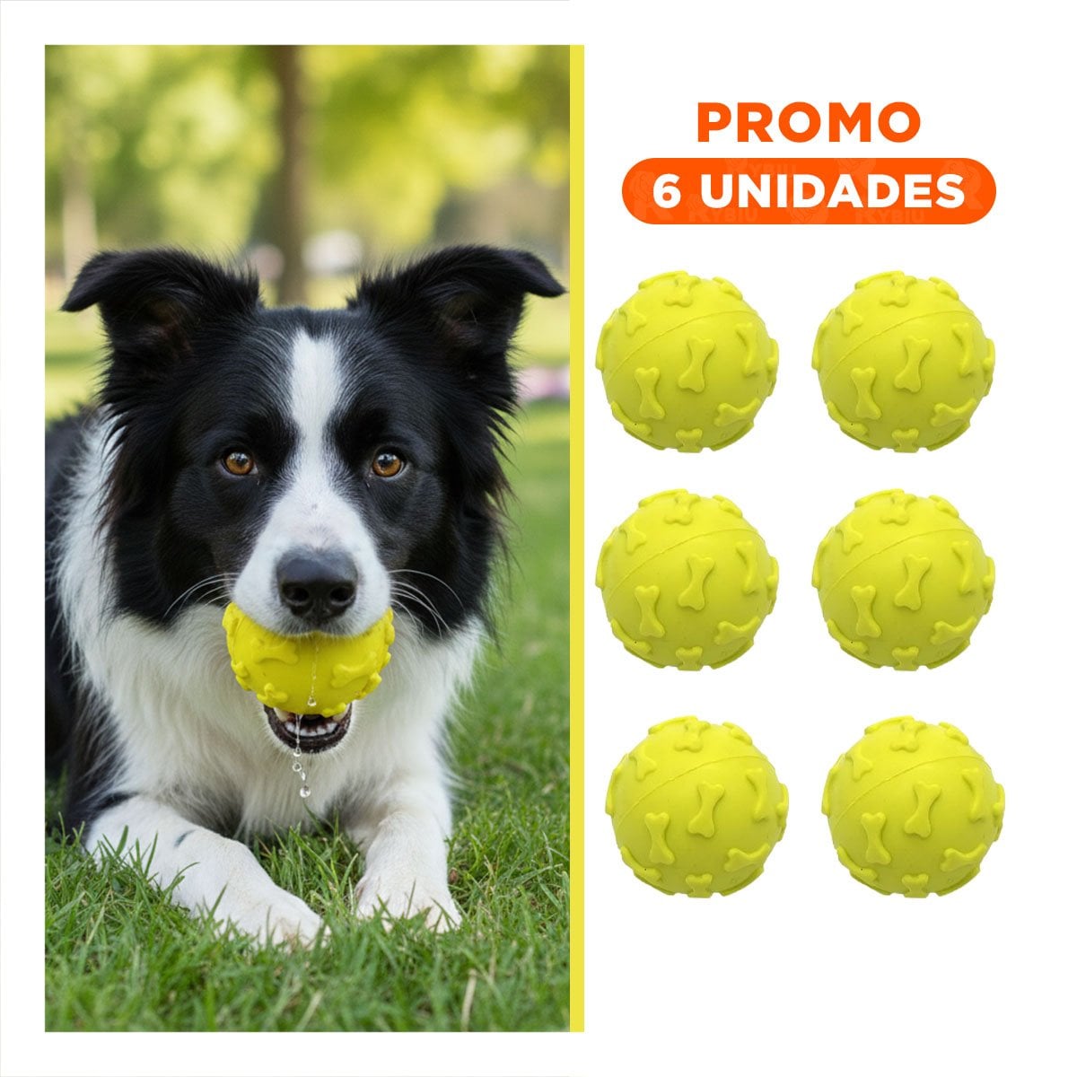 PACK6 ELEMENTO CANINO PARA ACTIVIDAD FISICA CON DISENO ALEGRE VERDE LIMON - 1