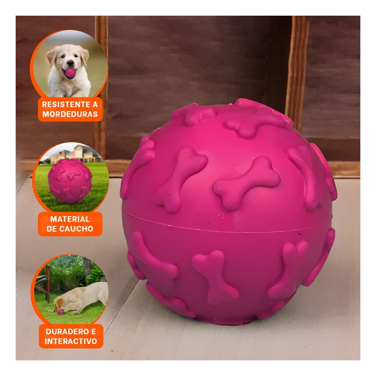 PACK4 JUGUETE DE GOMA PET PARA MASCOTA CON RELIEVE VISIBLE FUCSIA Y+PAPEL REGALO - 1