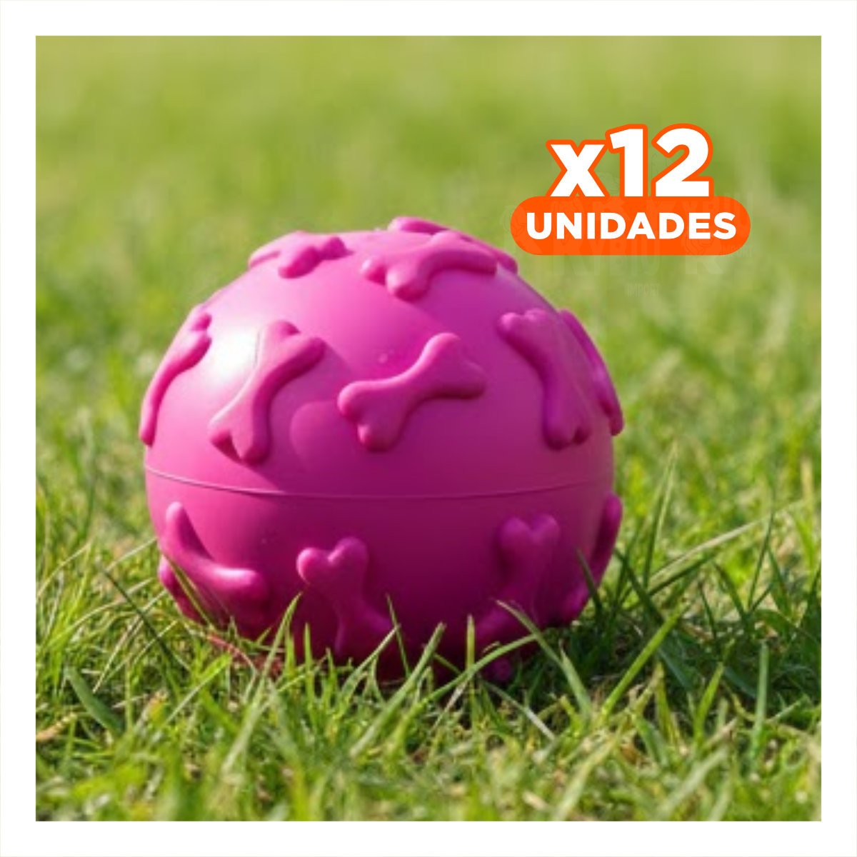 PACK12 ARTICULO DINAMICO PET PARA MASCOTA ACTIVA FUCSIA - 1