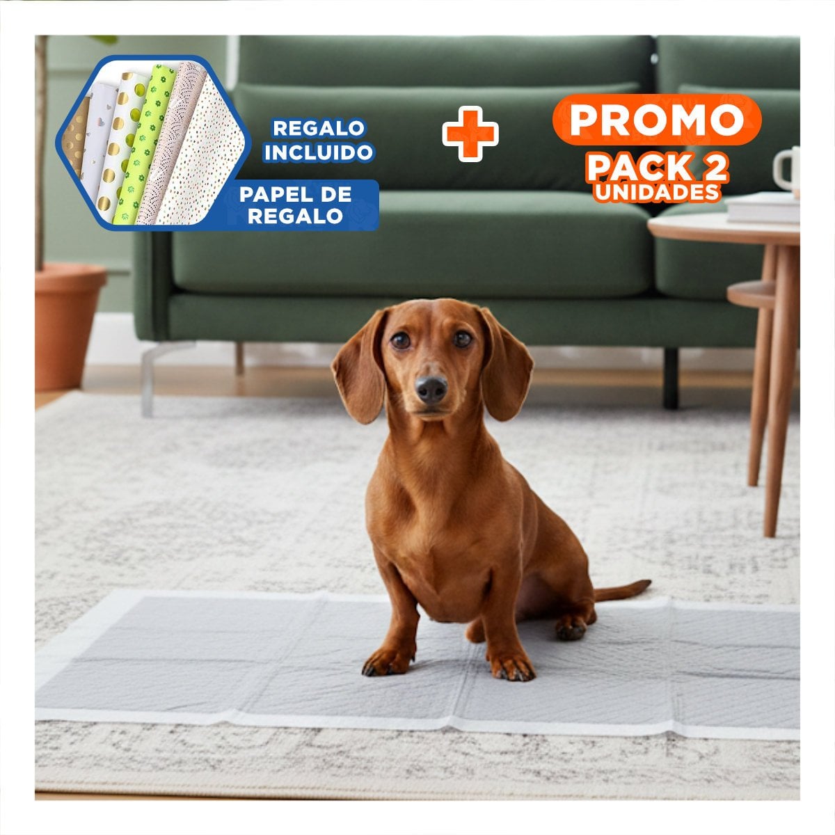 PACK2 PROTECTOR ABSORBENTE PARA MASCOTAS 60X45 CM TALLA M 50 NEGRO Y+PAPEL REGALO - 1