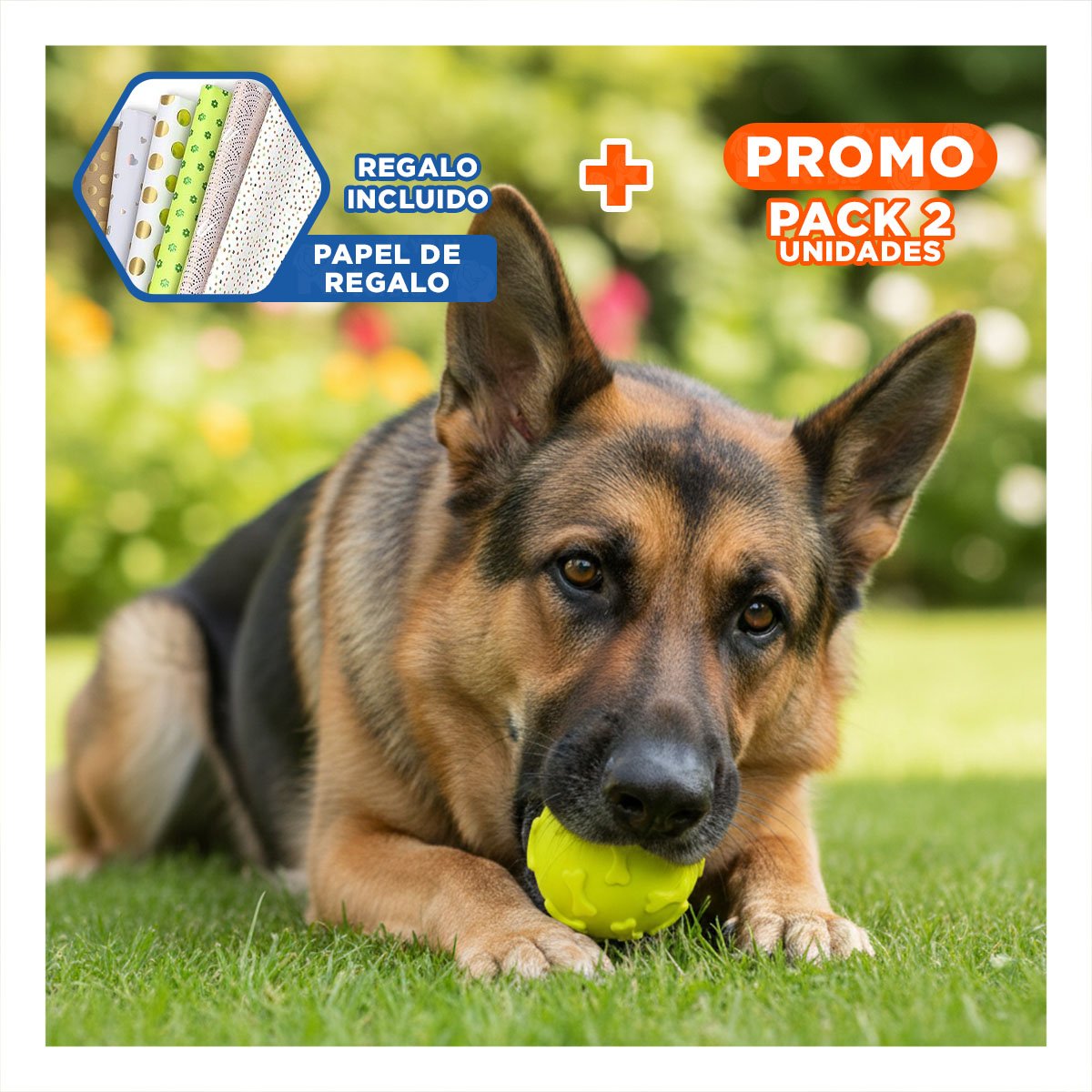 PACK2 ACCESORIO CANINO PARA LANZAMIENTO CON DISENO DE HUESO VERDE LIMON Y+PAPEL REGALO - 1