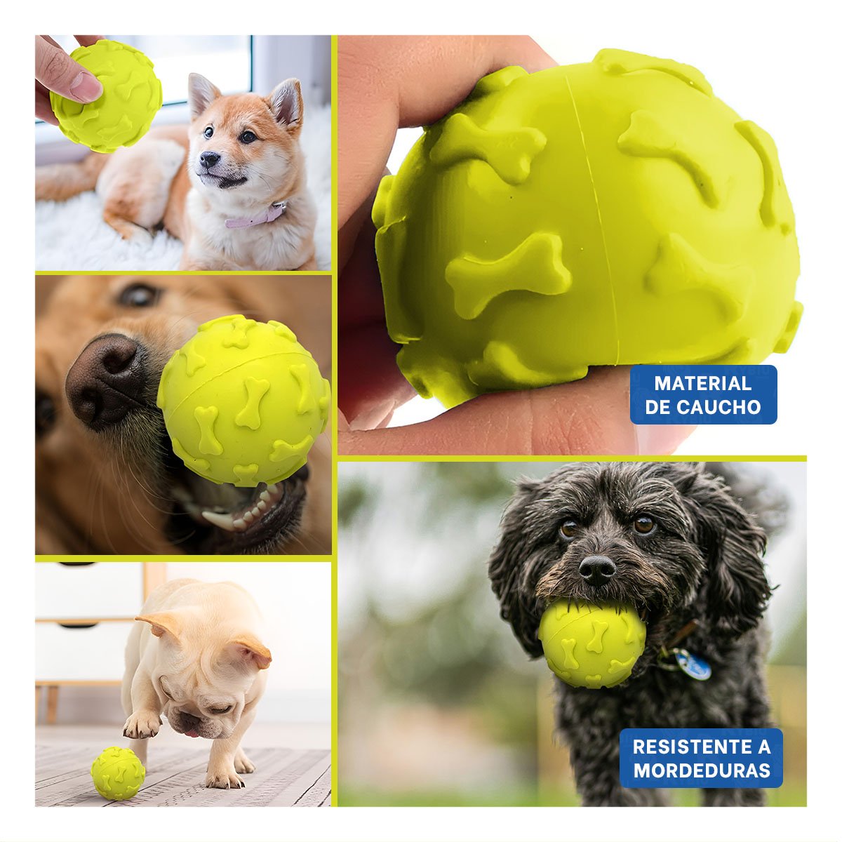 PACK2 ACCESORIO CANINO PARA LANZAMIENTO CON DISENO DE HUESO VERDE LIMON Y+PAPEL REGALO - 3