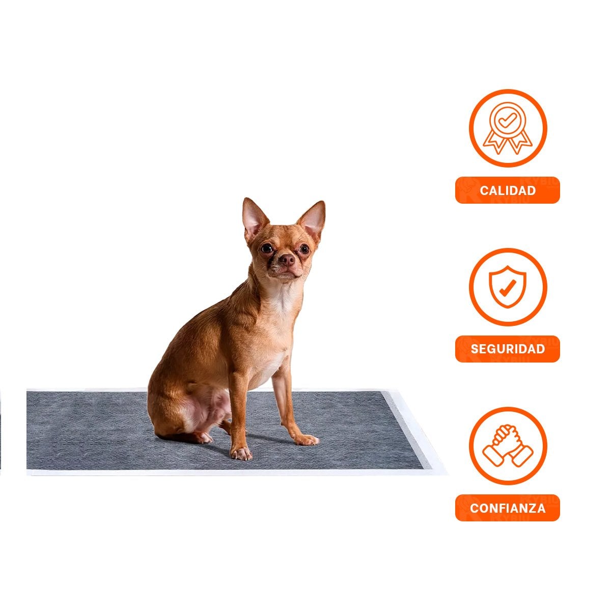 TOALLA PROTECTORA DE PISO PARA PERRO 60X60 CM TALLA L 40 NEGRO Y+REGALO STICKER - 3