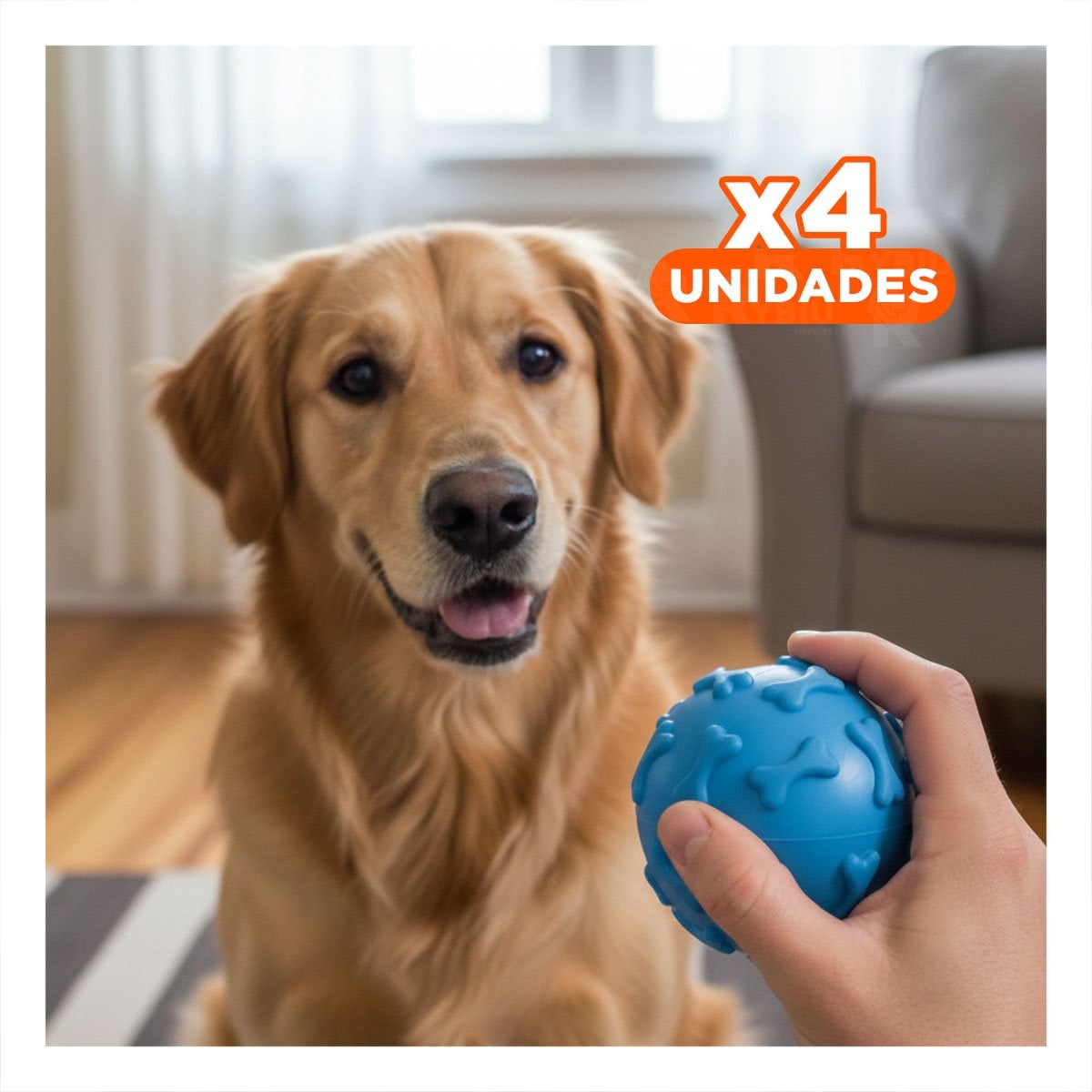 PACK4 MORDEDOR PRACTICO CON FORMA DE BOLA Y HUESOS PET CELESTE - 1