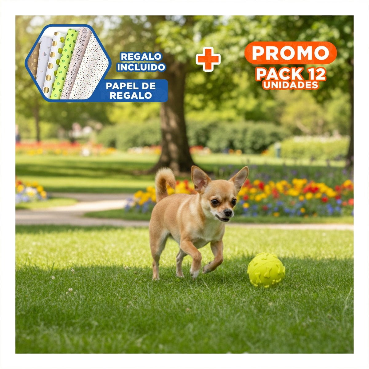 PACK12 PELOTA RESISTENTE PET CON FIGURAS DE HUESO EN SUPERFICIE VERDE LIMON Y+PAPEL REGALO - 1