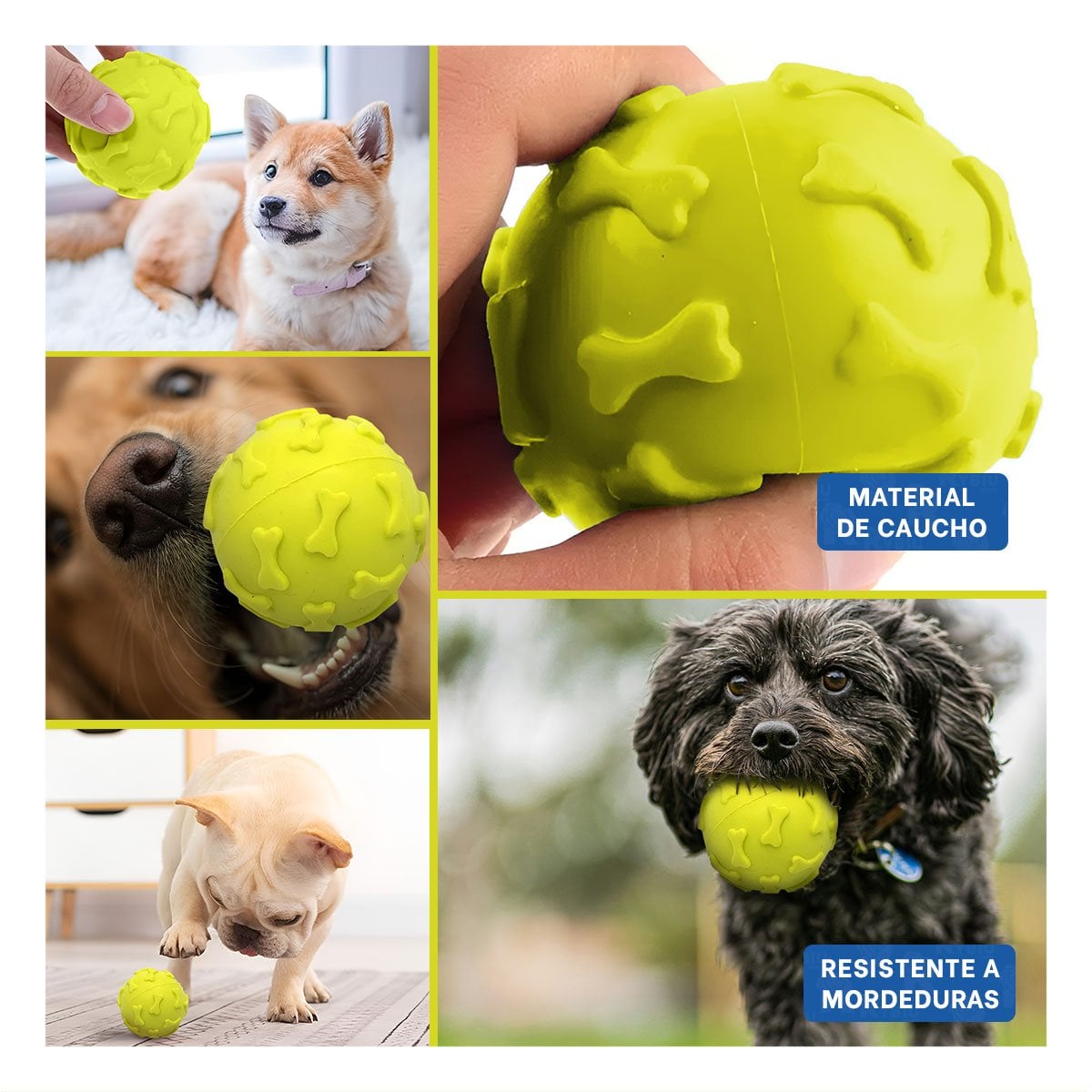 PACK12 PELOTA RESISTENTE PET CON FIGURAS DE HUESO EN SUPERFICIE VERDE LIMON Y+PAPEL REGALO - 2