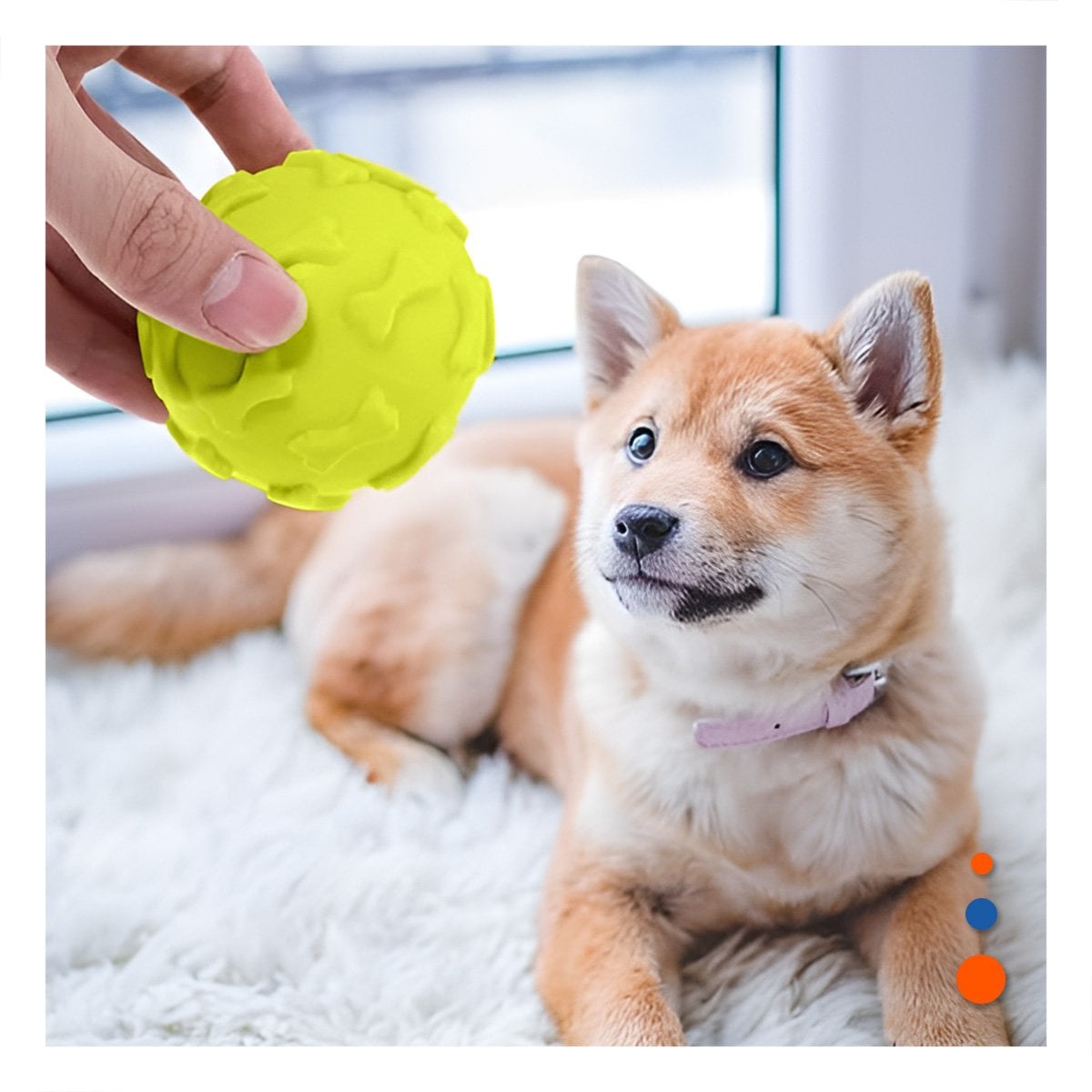 PACK12 PELOTA RESISTENTE PET CON FIGURAS DE HUESO EN SUPERFICIE VERDE LIMON Y+PAPEL REGALO - 5