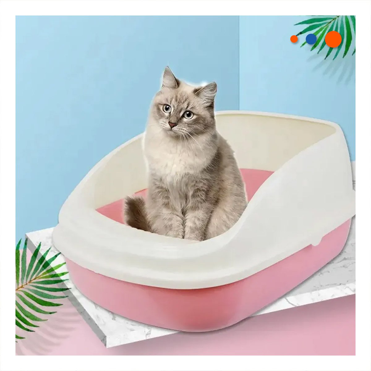 PACK2 CONTENEDOR DE ARENA SEMI ALTO FACIL DE LIMPIAR 37,7X50X21CM CELESTE Y+PAPEL REGALO - 2