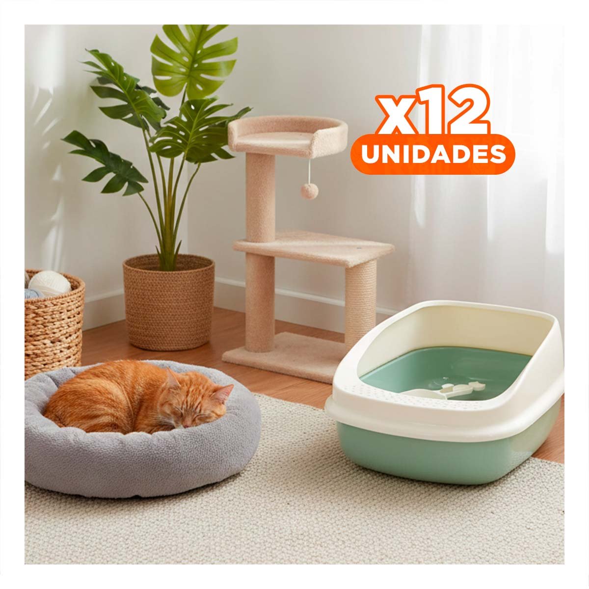 PACK12 ARCA DE ARENA COMODA Y PRACTICA PARA MASCOTAS 37,7X50X21CM CELESTE - 1